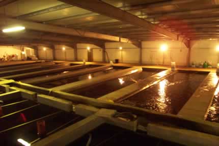 Colorite Recirculating System Photos